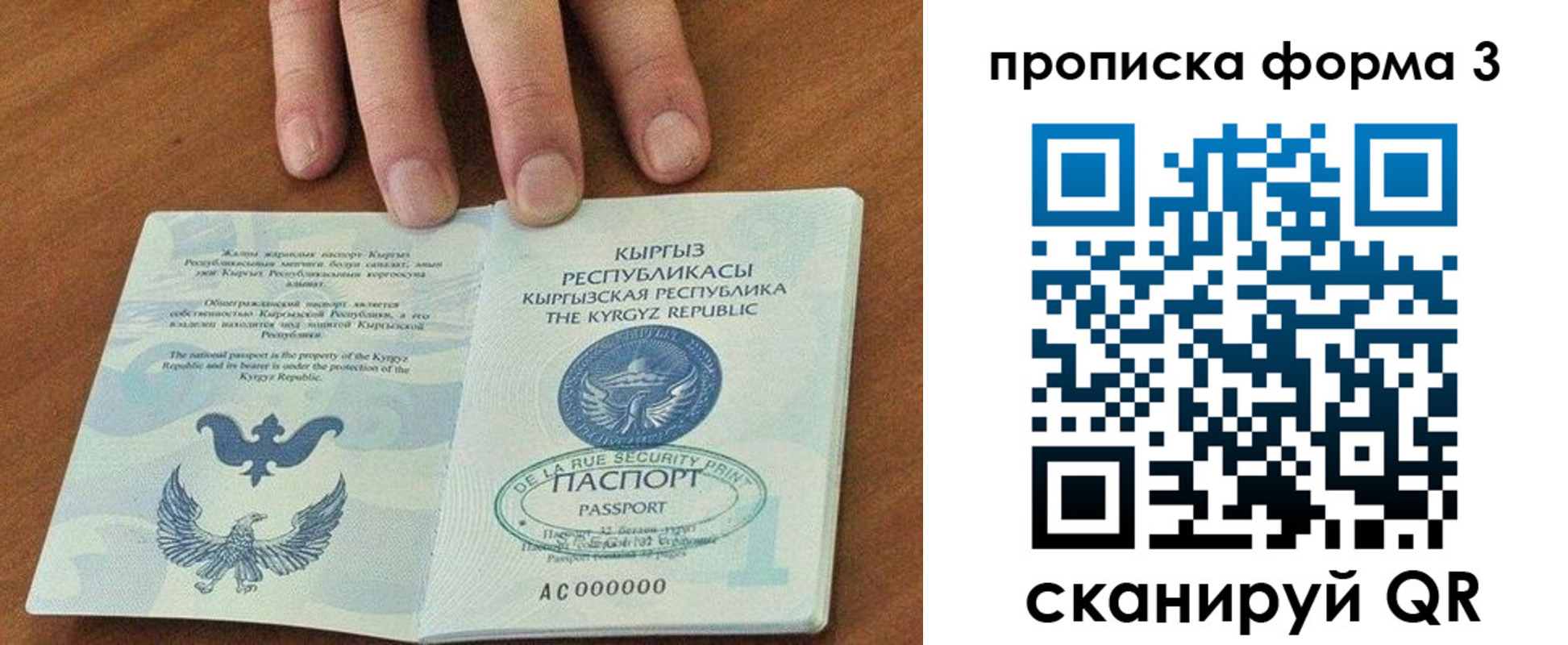 прописка 2025 в Воронежской области
